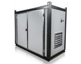 ТСС АД-40С-Т400-2РНМ7 в контейнере с АВР