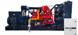 Газовый генератор CTG 1000CG с АВР