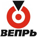Вепрь (Россия)
